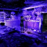 stilllife_3 stilllife_3