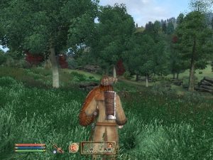 the-elder-scrolls-iv-oblivion-8 the-elder-scrolls-iv-oblivion-8