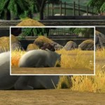 zootycoonxboxone_16 zootycoonxboxone_16