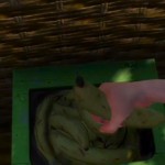 zootycoonxboxone_2 zootycoonxboxone_2