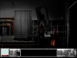 thecatlady_11 thecatlady_11