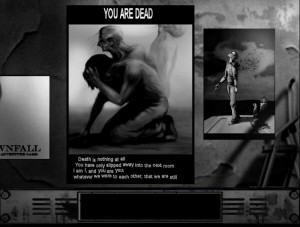 thecatlady_14 thecatlady_14