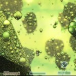 capsized_8 capsized_8