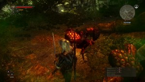 thewitcher2_28