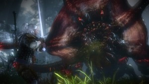 thewitcher2_40