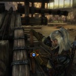 witcher2aok360_5