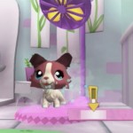 littlespetshopf_5 littlespetshopf_5