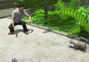 petpalswii_5 petpalswii_5