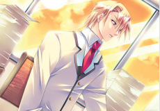 Fat Maiden Revolution