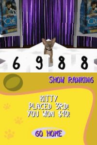 purrpals_9 purrpals_9