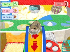 hamsterslife_2