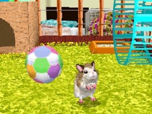 hamsterslife_6 hamsterslife_6