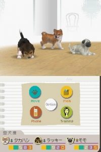 nintendogs_2