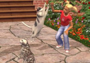 ts2pets_5 ts2pets_5