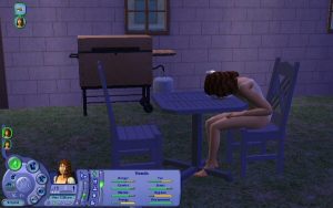 sims2_3 sims2_3