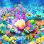 nemosreef_9 nemosreef_9